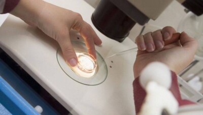 Зачатие детей от трёх человек разрешили в Великобритании