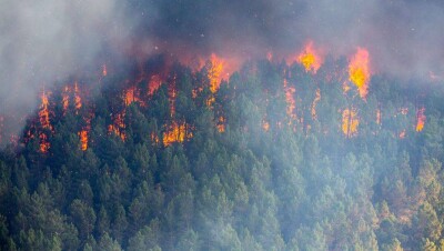 В Сибири потушили около 112 тысяч гектаров лесных пожаров 
