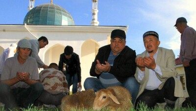 Мусульман с низким достатком освободили от необходимости совершать жертвоприношение