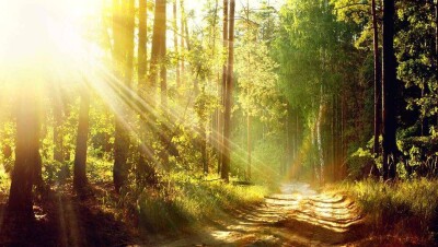 Прогноз погоды на 28 августа: почти на всей территории Казахстана будет без осадков