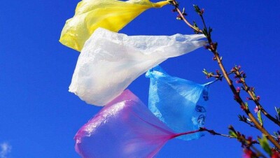 Минэнерго вместе с общественниками объявило войну полиэтиленовым пакетам