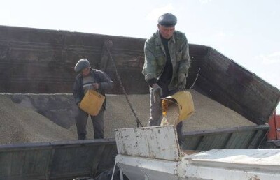 Регулирующий зерновой рынок закон уже четыре года не могут принять в Казахстане