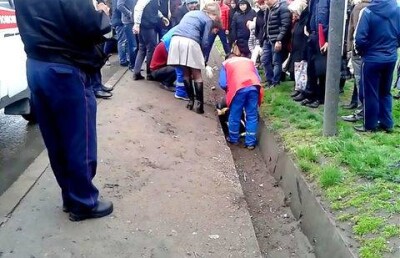 Сбитая на пешеходном переходе в Алматы женщина отлетела в арык