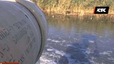 Скот падает замертво после водопоя в Жамбылской области