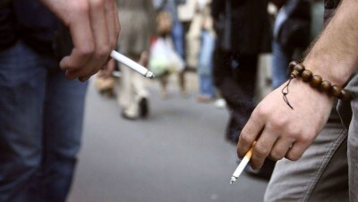 В Австрии курильщики провели митинг против своей дискриминации 