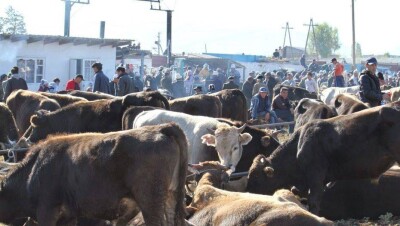 Продавцы рынка боятся за свои жизни после убийства троих братьев в Алматинской области