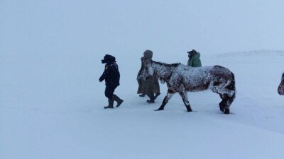 В ЮКО четверо суток лесники блуждали в горах во время метели