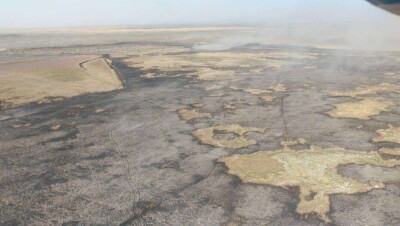 В Атырауской области ликвидировали горение камыша: площадь составила 284 га
