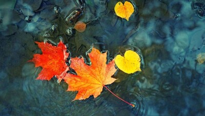 Прогноз погоды на 28 октября: на большей части территории Казахстана пройдёт дождь