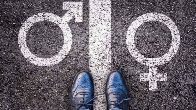 Конституционный суд Австрии разрешил указывать в документах третий пол