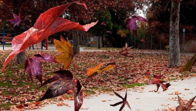 Прогноз погоды на 28 сентября: ветер и туман ожидаются почти во всех регионах