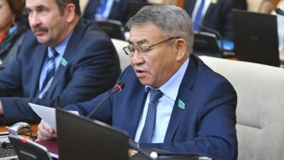 Мажилисмены предложили установить предельные цены на продукты и лекарства