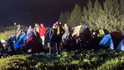 Туркомпании во время карантина устроили поход на Кок-Жайлау с ночёвкой и кинопоказом 