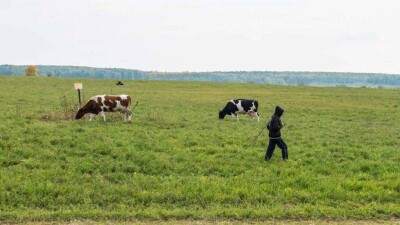 "Елден жырақ жерге апарып, үш ай бойы сиыр бақтырды" деп бастады әңгімесін Рамазан