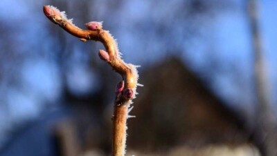Прогноз погоды на 6 марта: ночные морозы ожидаются на севере и в центре Казахстана