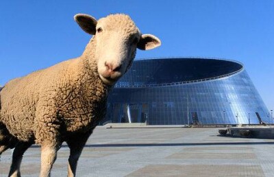 На главной площади Астаны заметили барана