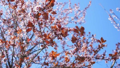 Прогноз погоды на 21 марта: плюсовая температура ожидается днём во всех городах Казахстана