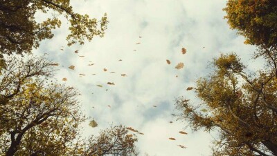 Прогноз погоды на 15 октября: ветрено и сыро будет на всей территории Казахстана