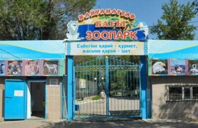 Рушится здание зоопарка в Караганде