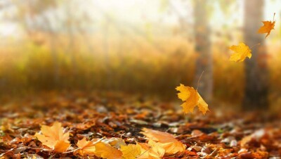 Прогноз погоды на 7 октября: лишь на западе и в горных районах юга Казахстана пройдут дожди