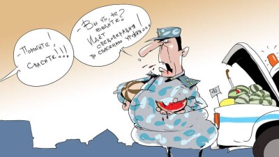 Спецоперация "Спасти урожай бахчевых"