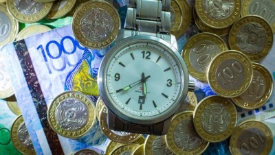 Бірыңғай жиынтық төлем дамыған елдерде жоқ