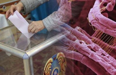 Заражение избирательных бюллетеней сибирской язвой не подтвердилось - Генпрокуратура 