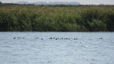 Подготовка к паводкам: почему изменили бюджет на строительство и реконструкцию дамб?