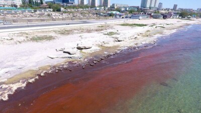 Кровавый цвет моря обеспокоил жителей Актау