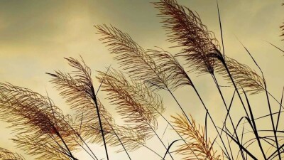 Штормовое предупреждение объявили в семи регионах Казахстана 