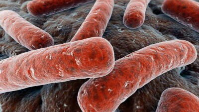 Казахстанцы отказываются от вакцины против туберкулёза по религиозным убеждениям