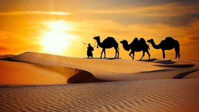 Ойынға айналған Ойсылқара