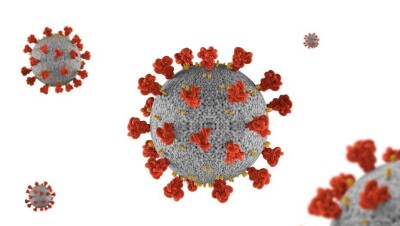 ВОЗ изучает информацию о новой мутации Covid-19 в Великобритании
