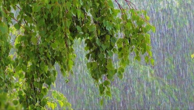 Прогноз погоды на 23 июля: дожди с грозами пройдут на большей части территории Казахстана