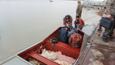 1542 браконьера задержали на Каспии пограничники Казахстана и России