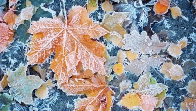 Прогноз погоды на 21 сентября: на севере ожидаются заморозки, на юге – до +37