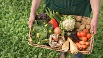 "От поля до прилавка": в Туркестанской области стартовал новый сельскохозяйственный проект