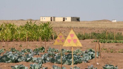 Радиация в ВКО будет вызывать заболевания ещё у нескольких поколений - учёные