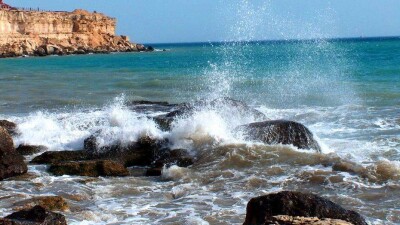 Российская академия наук предложила Казахстану вместе изучать экосистему Каспия