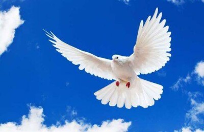 Казахстан занял 75-е место в глобальном рейтинге миролюбия