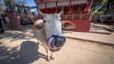 Места Индии, где эстетический шок гарантирован