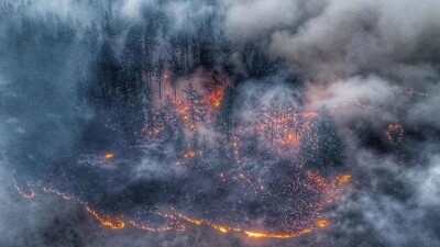 Роспотребнадзор: Высоких рисков для здоровья от пожаров нет