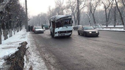 Автобус с пассажирами снёс несколько деревьев в Алматы: восемь пострадавших