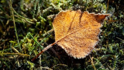 Прогноз погоды на 12 сентября: заморозки ожидаются в четырёх областях Казахстана