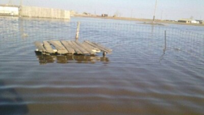 В Павлодарской области затопило село Шуга