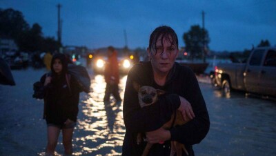 "Бегите прочь!": Власти округа Техаса заявили о новом бедствии 