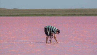 Соль из озера Кобейтуз продают как лекарство от Covid-19. Минэкологии ведёт проверку