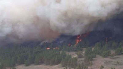 В Бескарагайском районе ВКО на площади 100 га горит сосновый бор 