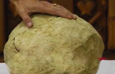 Найденные в Актобе яйца динозавра оказались камнями