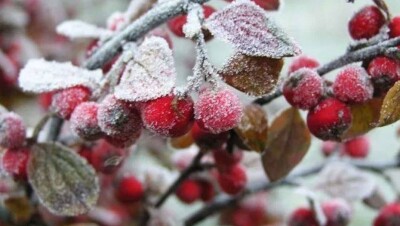 Осадки и гололедица ожидаются 16 октября почти по всему Казахстану